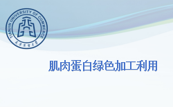 肌肉蛋白绿色加工利用